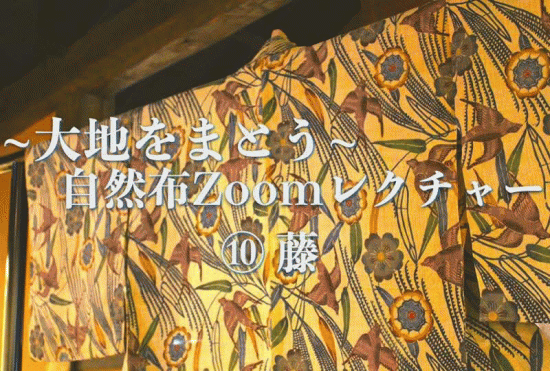 日本の自然布 図録 葛布と日本の自然布 大井川葛布